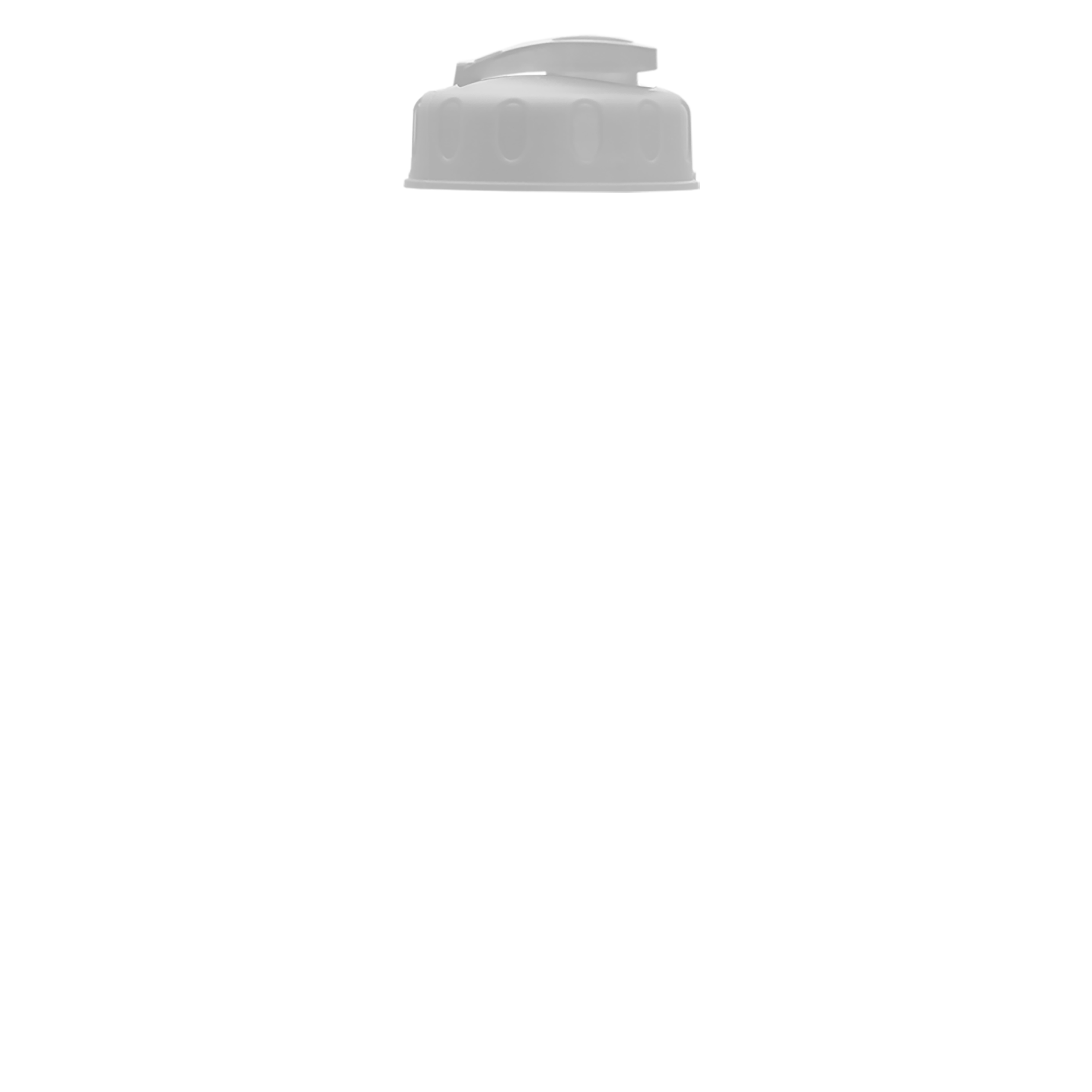 Garyline® Champ Recycled Bottle with Flip-Top Lid - 28 oz.